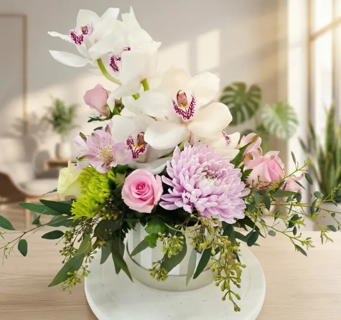 Cloud Nine Orchids